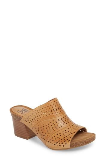 Women's Sofft Magnolia Mule M - Brown