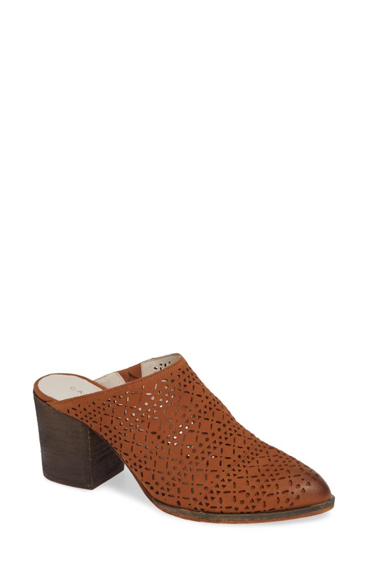 Women's Caslon Miccah 2 Perforated Mule M - Brown