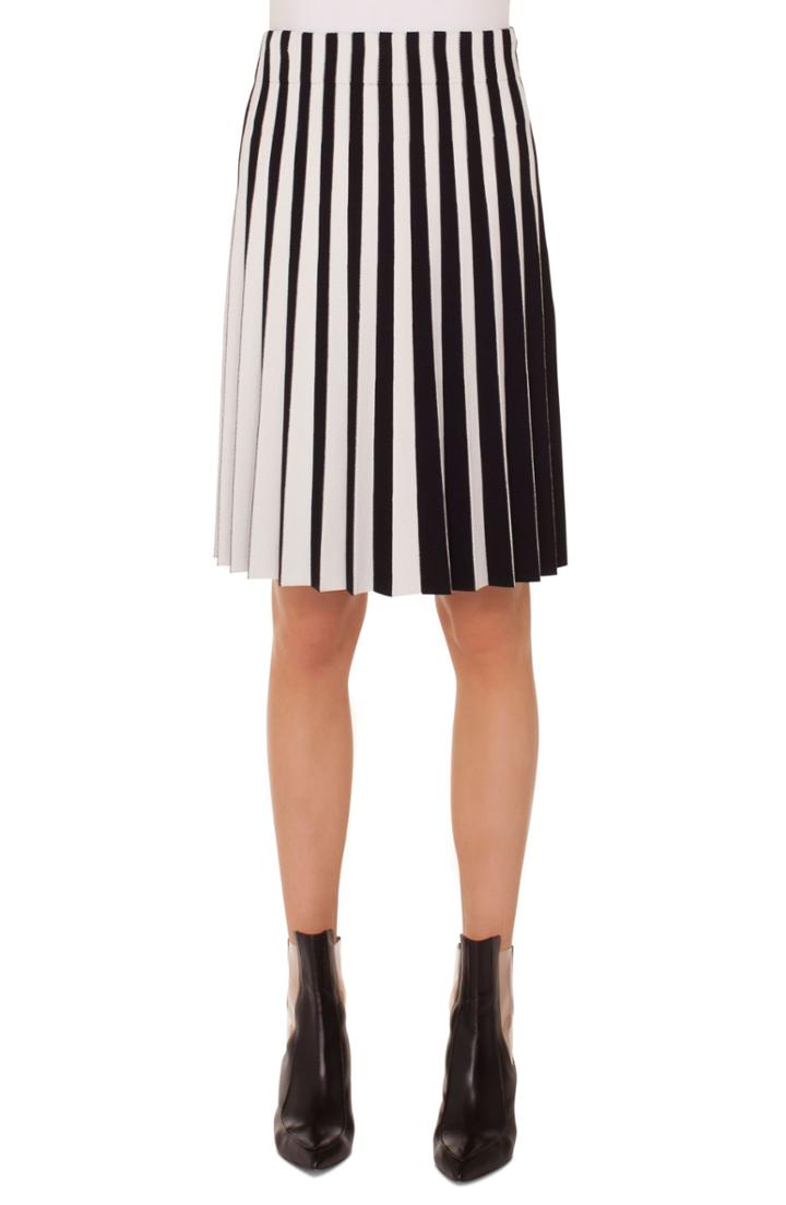 Women's Akris Punto Stripe Pleat Skirt