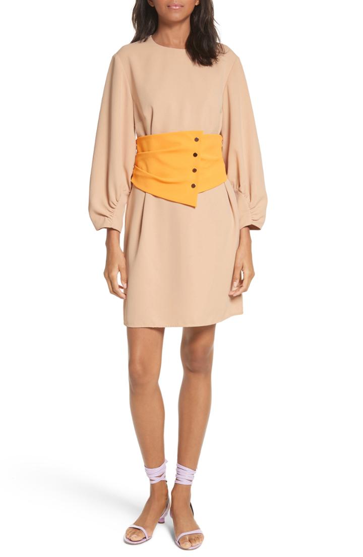 Women's Tibi Shirred Sleeve Corset Dress