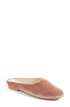 Women's Dolce Vita Pali Mule .5 M - Pink