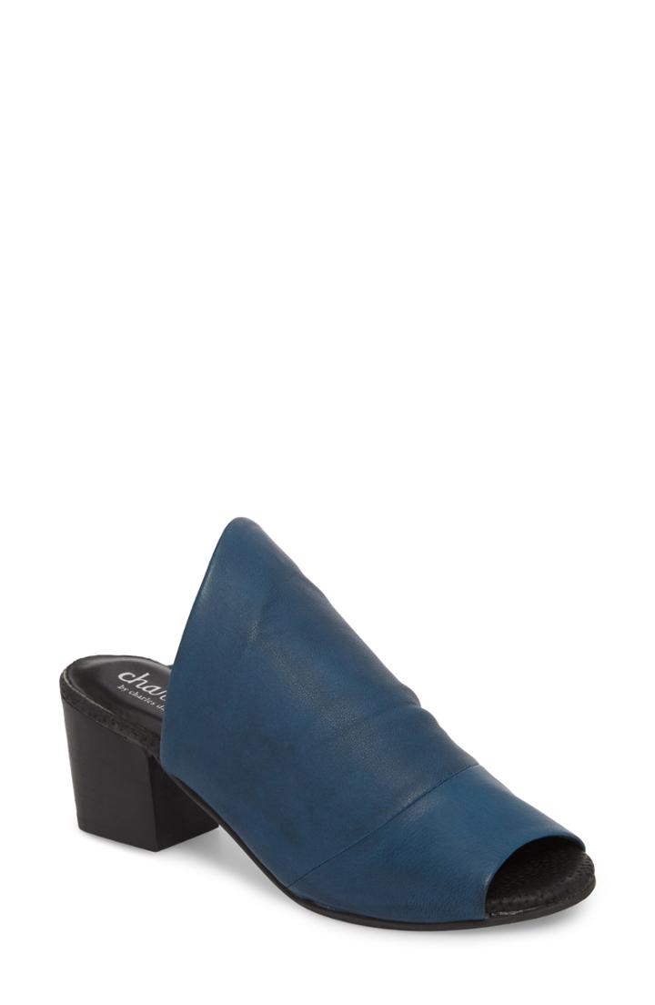 Women's Charles By Charles David Yanna Block Heel Slide Sandal .5 M - Blue