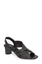 Women's Donald Pliner Radly Strappy Sandal M - Black