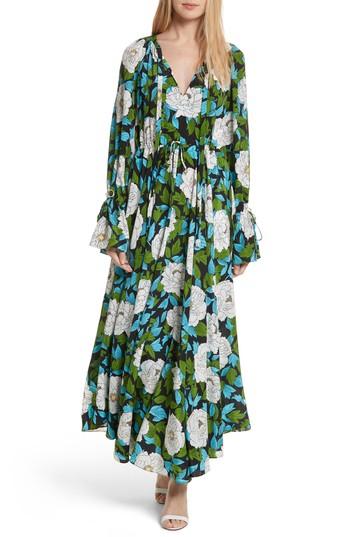 Women's Diane Von Furstenberg Floral Silk Maxi Dress