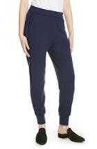 Women's Eileen Fisher Jogger Pants, Size - Blue
