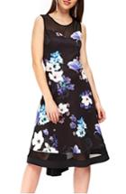 Women's Wallis Floral Burst Fit & Flare Dress Us / 8 Uk - Black