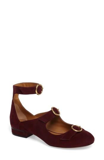 Women's Chloe Buckle Ballerina Flat Us / 38eu - Burgundy