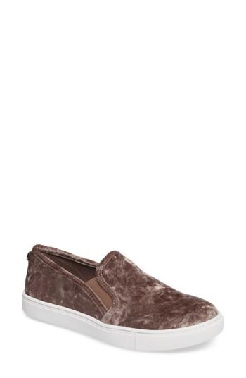 Women's Steve Madden Ecntrcv Slip-on Sneaker .5 M - Grey