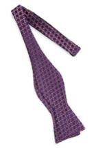 Men's Calibrate Bubble Dot Silk Bow Tie
