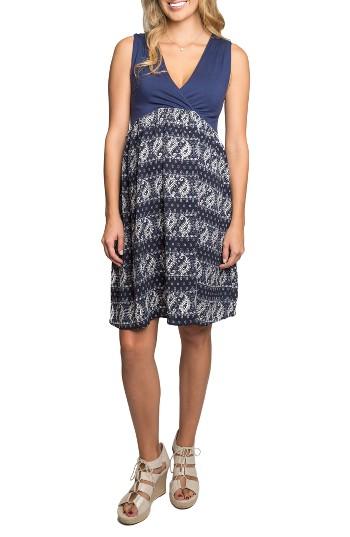 Women's Everly Grey Cleo Maternity/nursing Dress - Blue