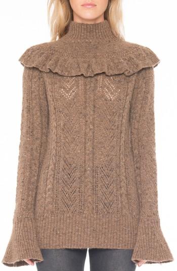 Women's Willow & Clay Pointelle Turtleneck Sweater - Brown