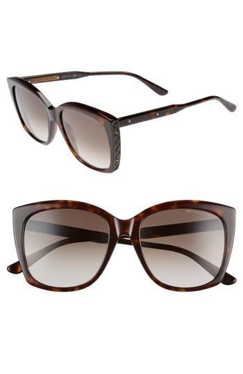 Women's Bottega Veneta 55mm Cat Eye Sunglasses - Dark Havana