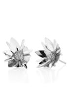 Women's Meadowlark Small Wildflower Stud Earrings