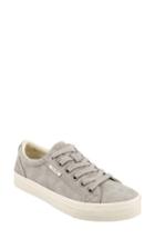 Women's Taos Plim Soul Sneaker