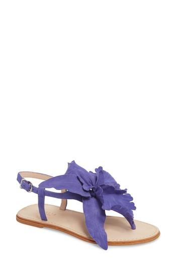 Women's Cecelia New York Peony Sandal M - Purple