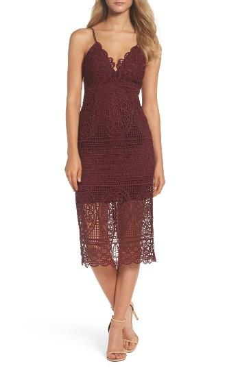 Women's Bardot Versailles Lace Pencil Dress - Purple