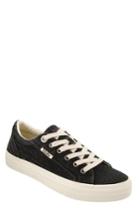Women's Taos Plim Soul Sneaker M - Black