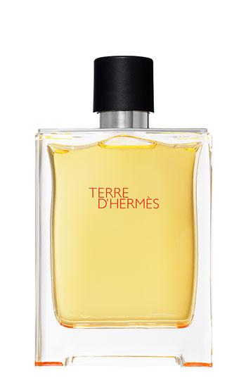 Hermes Terre D'hermes - Pure Perfume (6.7 Oz.)