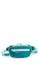 Men's Patagonia Travel Belt Bag - Blue