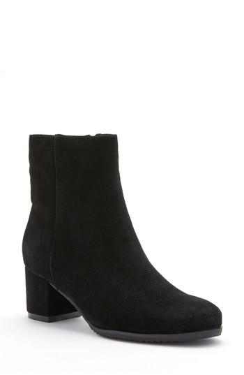 Women's Blondo Alida Waterproof Bootie .5 M - Black