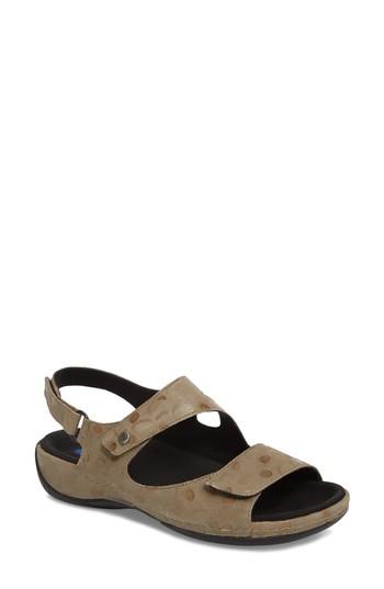 Women's Wolky Liana Sandal -6.5us / 37eu - Beige