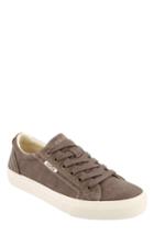 Women's Taos Plim Soul Sneaker M - Brown