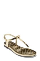 Women's Cole Haan Tali Bow Sandal .5 B - Metallic