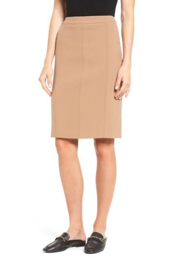 Petite Women's Halogen Seamed Pencil Skirt P - Brown
