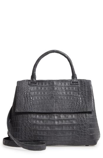 Nancy Gonzalez Medium Sophie Genuine Crocodile Top Handle Bag - Grey