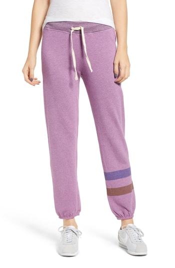 Women's Sundry Stripe Sweatpants - Purple
