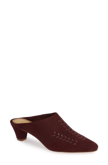 Women's Splendid Nedda Mule M - Purple