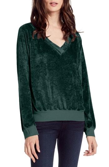 Women's Michael Stars Velvet V-neck Top - Green
