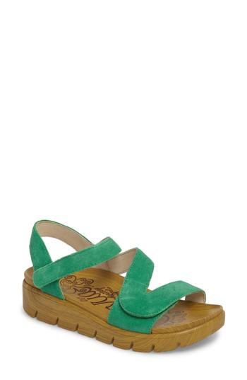 Women's Alegria Anah Sandal -8.5us / 38eu - Green