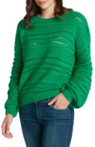 Women's Willow & Clay Open Weave Stripe Sweater - Green