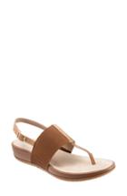 Women's Softwalk Daytona Sandal M - Brown