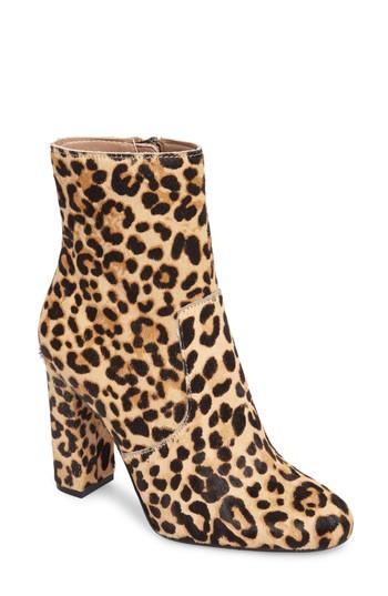 Women's Steve Madden Editor Boot M - Brown