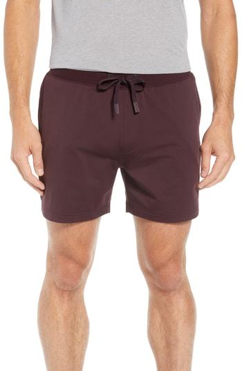 Men's Alo Regenerate Shorts