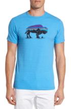 Men's Patagonia Fitz Roy Bison T-shirt - Blue