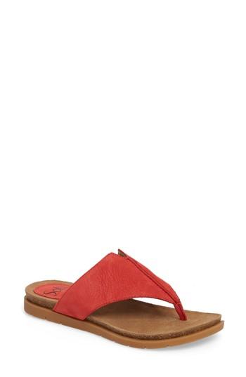 Women's Sofft Rina Flip Flop M - Coral