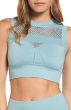 Women's Ivy Park Net Crop Top - Blue