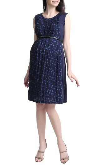Women's Kimi And Kai Rana Pleated Maternity/nursing Dress