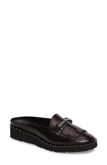 Women's Charles David Lorde Mule .5 Eu - Burgundy