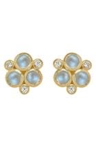 Women's Temple St. Clair Classic Trio Moonstone Earrings