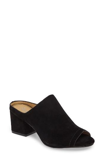 Women's Splendid Danica Slide Sandal .5 M - Black