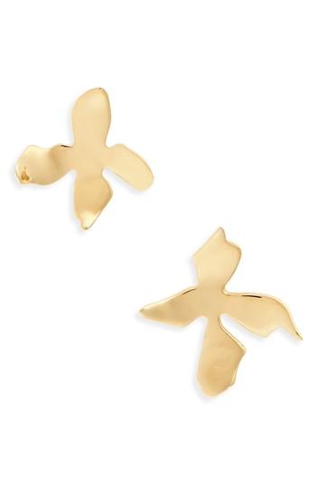 Women's Faris 14k Gold Small Stud Earrings