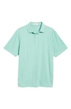 Men's Peter Millar Crown Stripe Polo - Green