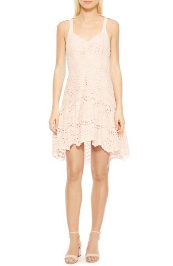 Women's Parker Odysseia Eyelet Cotton Dress - Pink