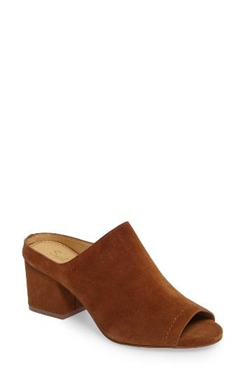 Women's Splendid Danica Slide Sandal .5 M - Brown