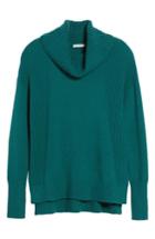 Women's Caslon Cozy Rib Detail Relaxed Turtleneck, Size - Green