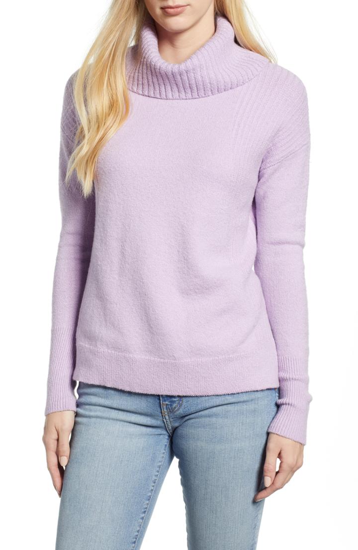 Petite Women's Caslon Cozy Rib Detail Relaxed Turtleneck P - Purple